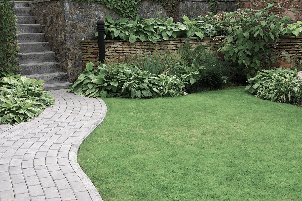 Welcome to Timberland Landscaping